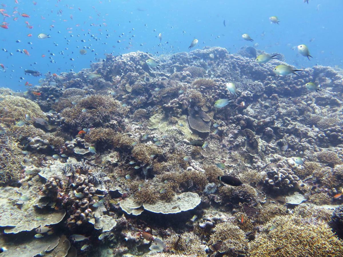 Butiama Marine Camp Hotel Utende Luaran gambar
